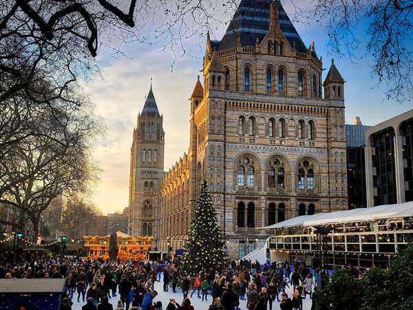 Discover London's Natural Wonders: Museum Expedition - Image 5